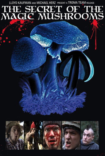 Movie poster for The Secret of the Magic Mushrooms (2009)
