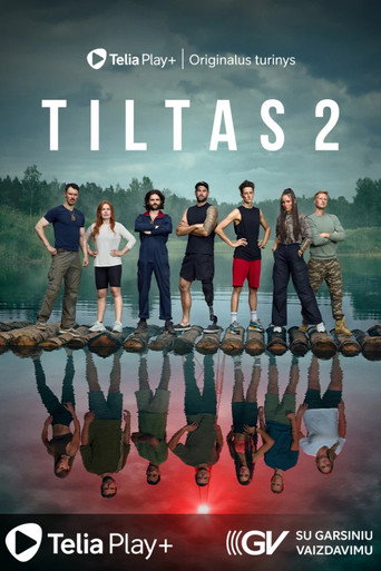 Series poster for Tiltas 2 (2024)
