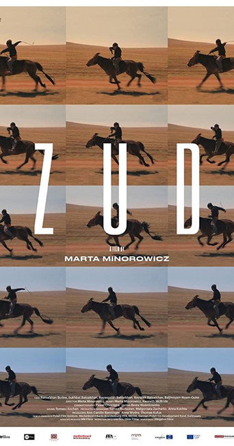 Movie poster for Zud (2016)