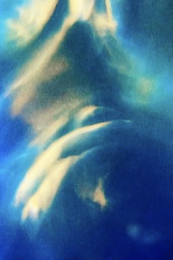 Movie poster for Opalescence (2021)