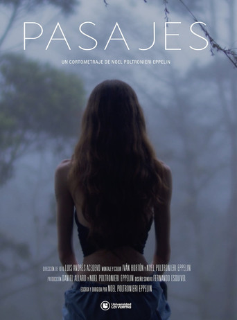 Movie poster for Pasajes
