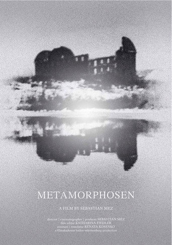Movie poster for Metamorphoses (2013)