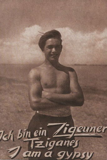 Ich bin ein Zigeuner poster