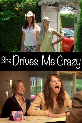 She Drives Me Crazy poster