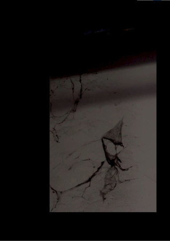 Movie poster for RITUAL, Part IV: The Blends (2022)