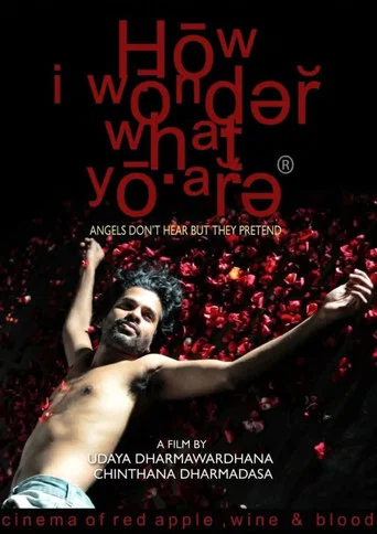 Movie poster for How I Wonder What You Are (2010)