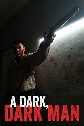 A Dark, Dark Man poster