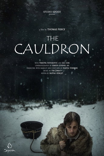 Movie poster for The Cauldron (2025)