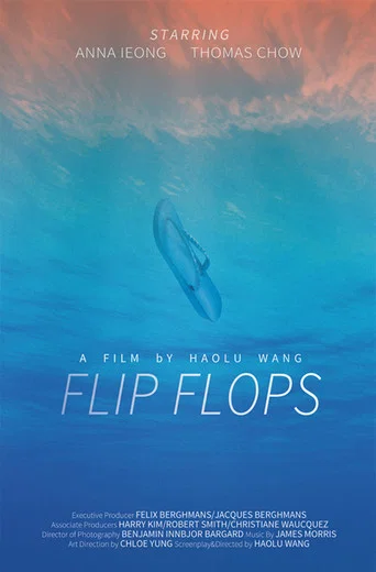 Movie poster for Flip Flops (2015)