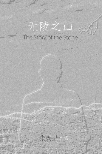 Movie poster for The Story of the Stone (2017)