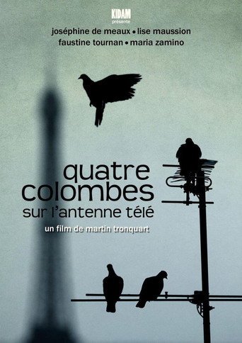 Quatre colombes sur l'antenne télé poster