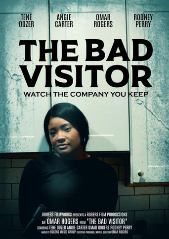 Movie poster for The Bad Visitor