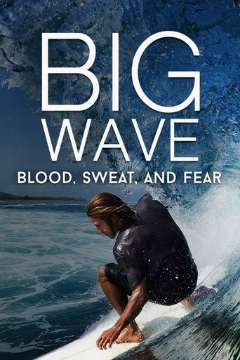 Movie poster for Big Wave: Blood, Sweat, and Fear (2018)