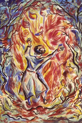 Movie poster for A Fire in the Forest: The Life and Legacy of the Ba'al Shem Tov (2012)