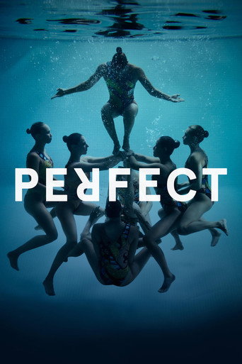 Movie poster for Perfect (2016)