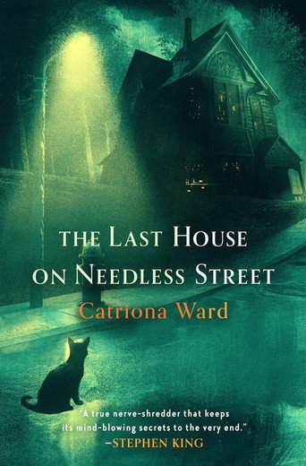 The Last House on Needless Street poster