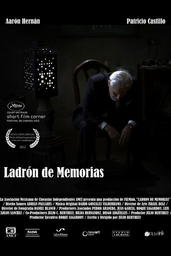 Ladrón de memorias poster