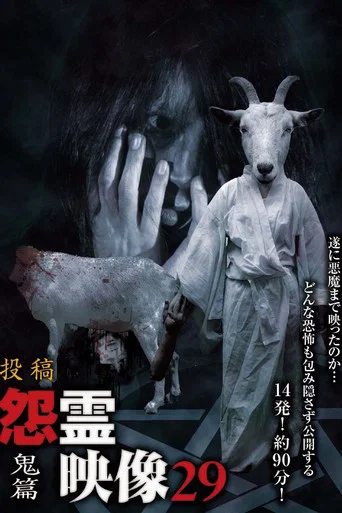 Movie poster for Posted Grudge Spirit Footage Vol.29: Demon Edition (2016)