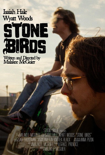 Movie poster for Stone Birds (2025)