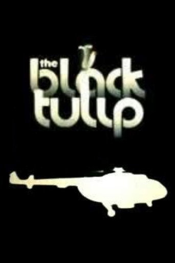 Movie poster for The Black Tulip (1988)