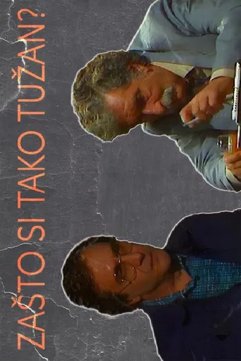 Why Are You So Sad? poster