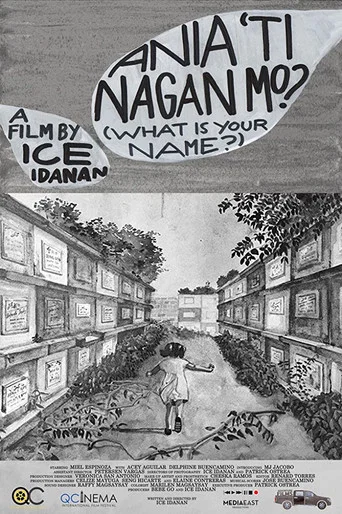 Movie poster for What is Your Name? (2017)