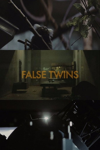 Movie poster for False Twins (2014)