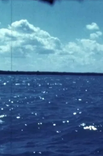 Movie poster for Woman Water Huron Goodbye (1981)