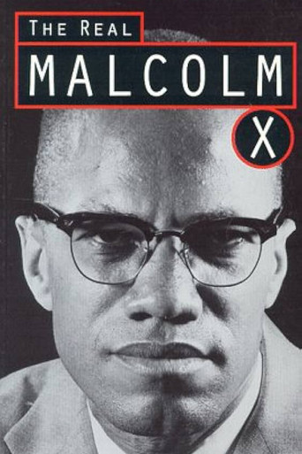 The Real Malcolm X poster
