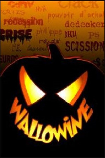 Movie poster for François Pirette - Wallowine (2008)