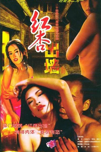 红杏出墙记 poster