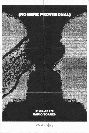 Movie poster for Provisional Name (2024)