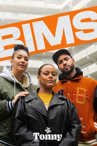 Series poster for BIMS (2025)