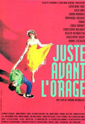 Movie poster for Just Before the Storm (1993)