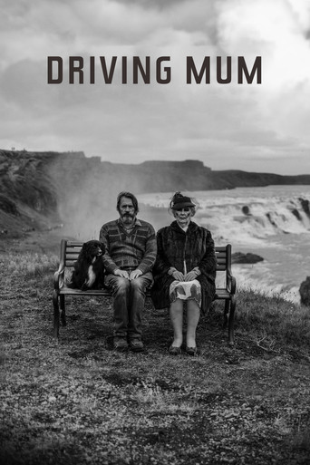 Driving Mum poster