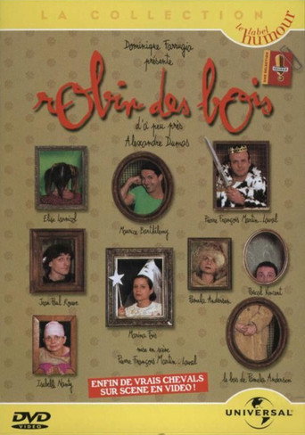 Movie poster for Robin des Bois d'à peu près Alexandre Dumas (1996)