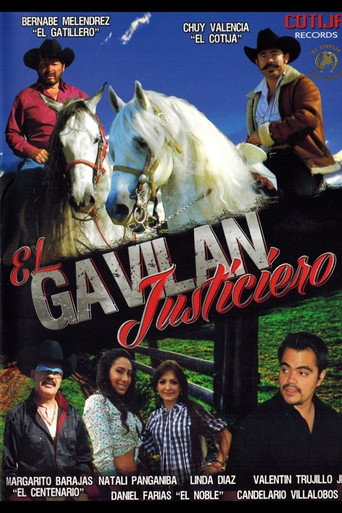 Movie poster for El Gavilan Justiciero (2013)