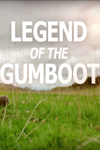 Movie poster for How to DAD the Movie: Legend of the Gumboot (2017)