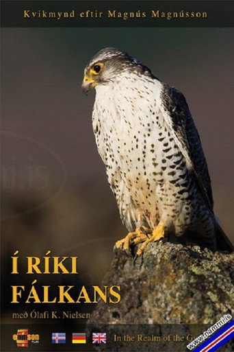 Movie poster for In the Realm of the Gyr Falcon (2009)
