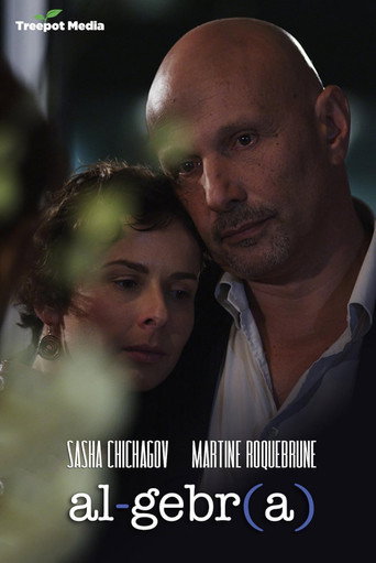 Movie poster for Algebra: A Reunion of Broken Parts (2012)