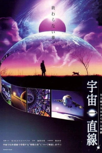 Movie poster for Straight into the Universe (2010)