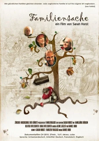 Movie poster for Familiensache (2011)