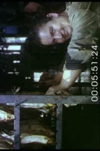 Movie poster for Landscape. Portrait. Still Life (1992)
