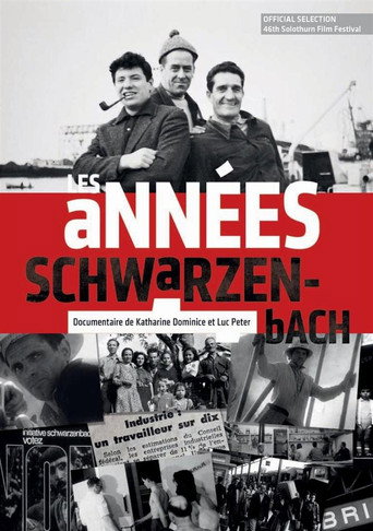 Movie poster for Les années Schwarzenbach (2010)