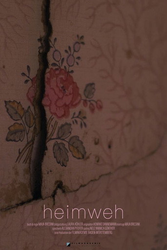 Movie poster for Homesick (2023)