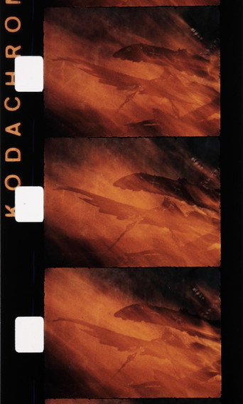 Movie poster for Le feu (1992)