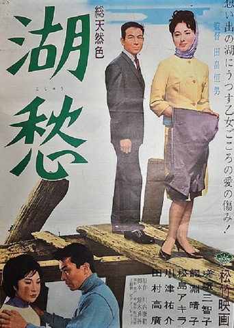湖愁 poster