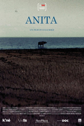 Movie poster for Anita (2012)