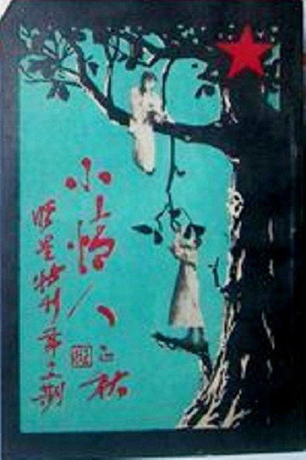 Movie poster for Xiao Qing Ren (1926)