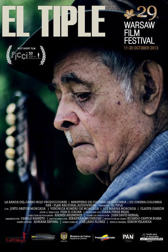 Movie poster for El Tiple (2013)